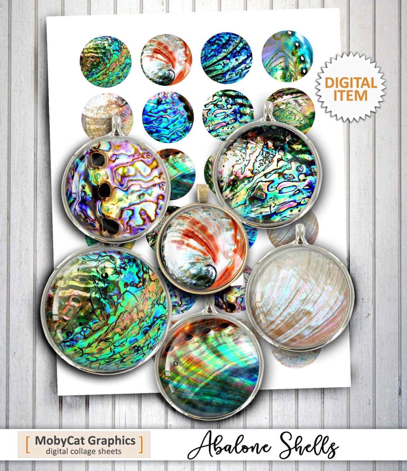 Abalone Shells Digital Collage Sheets Instant Download