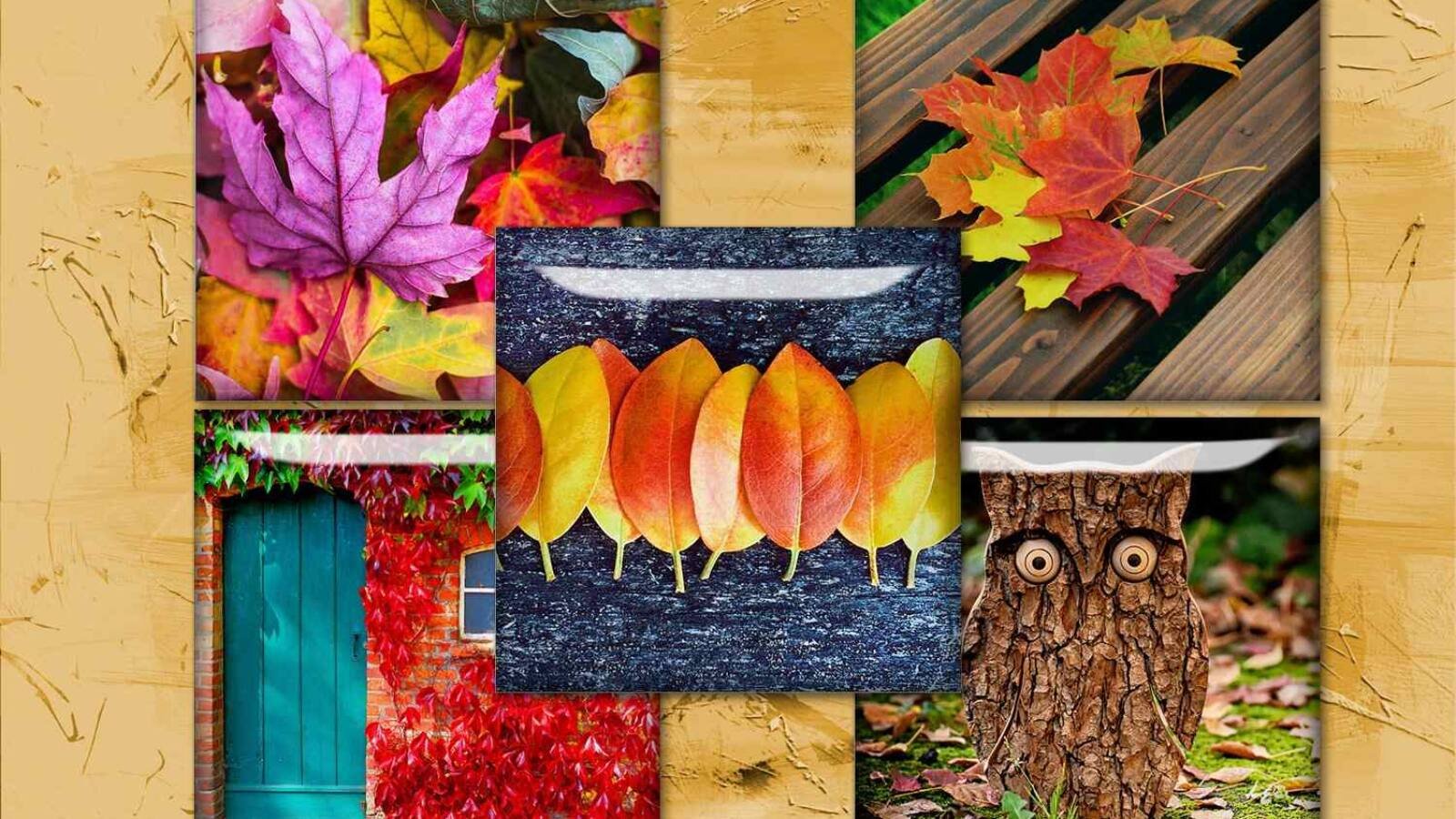 Fall Leaves Digital Collage Sheet Autumn Squares