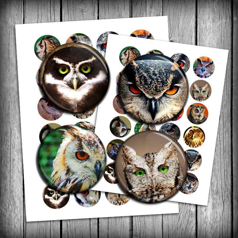 Owls Digital Collage Sheet Circles Printable Images