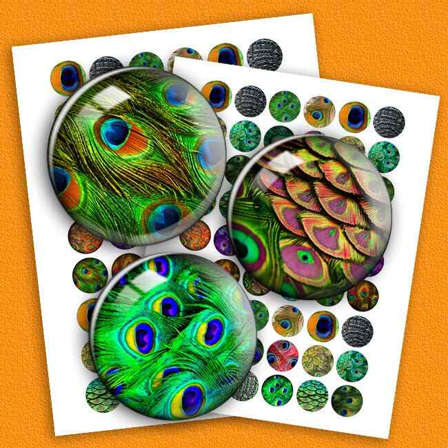 Peacock Feathers Digital Collage Sheet Bottle cap images