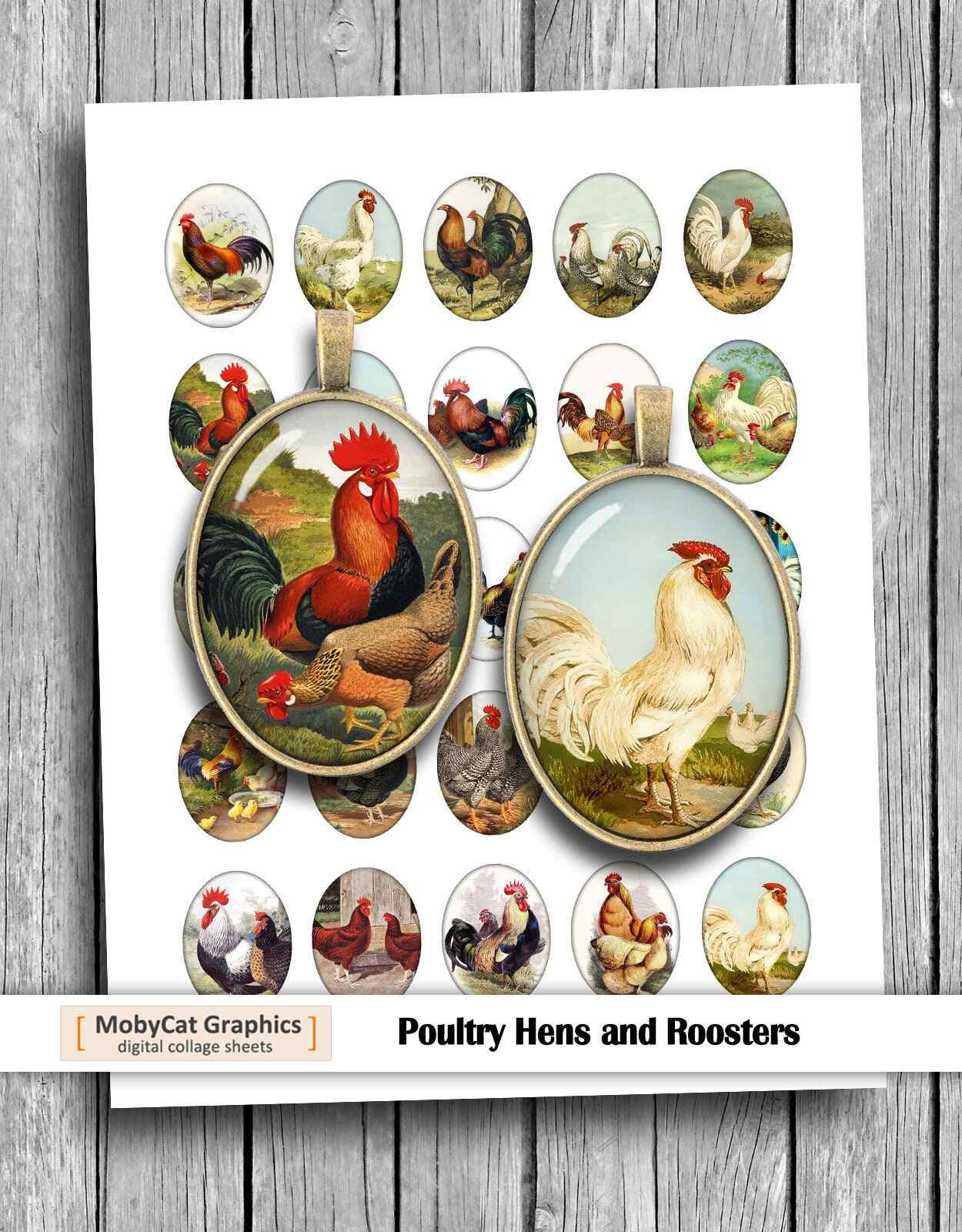 Poultry Hens Roosters Digital Collage Sheet Ovals