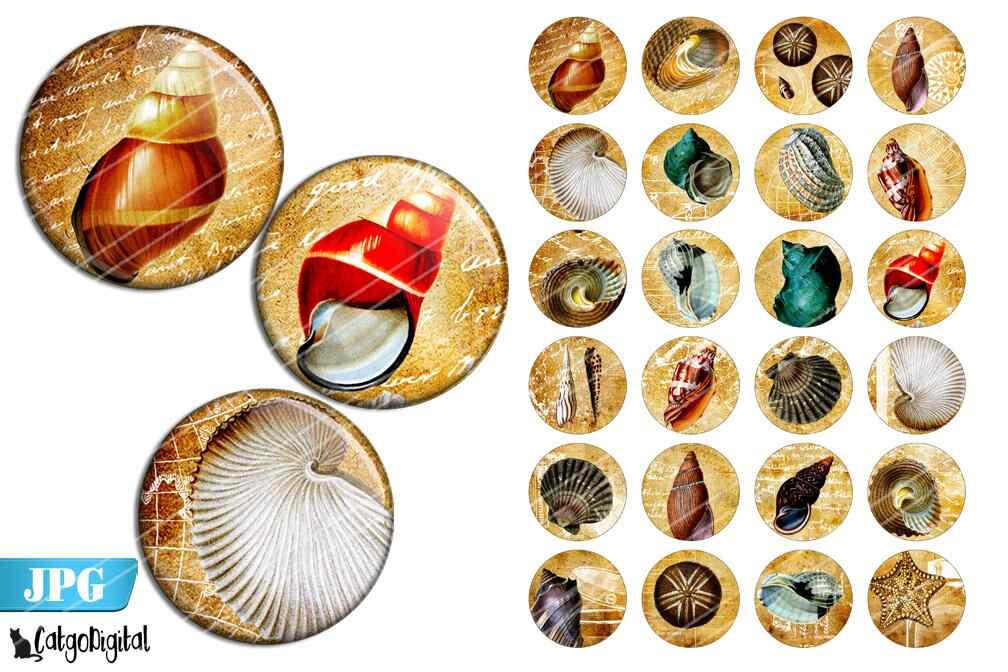 Sea Shells Bottle cap images Digital Collage sheet