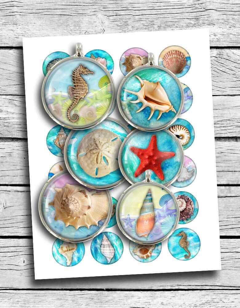 Seashells Round images Printable Digital Collage Sheet