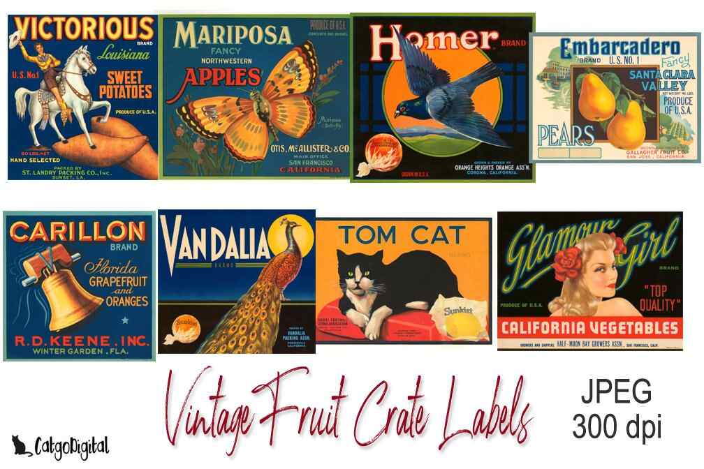 Vintage Fruit Crate Labels JPEG files