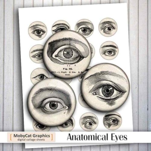 Anatomical Eyes Circles Digital Collage Sheet