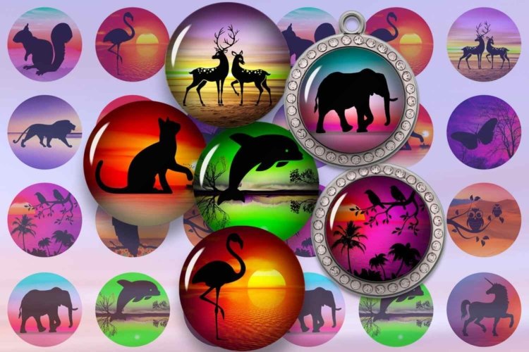 Animals Silhouette Landscape Images Sunset Images Circles