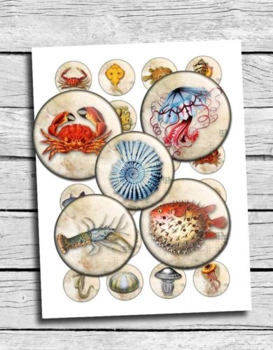 Antique Sealife Digital Collage Sheet Printable Circles