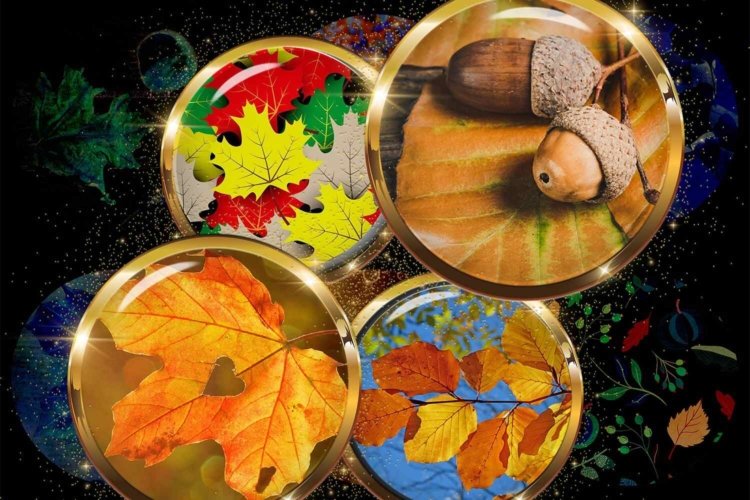 Autumn Digital Circles Fall Collage Sheet for Crafts