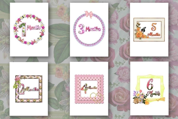 Baby Milestone Flowers Printable Cards With Months