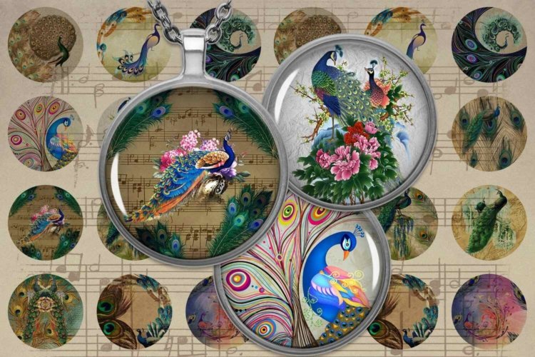 Birds Feather Peafowl Colorful Birds Digital Collage Sheet