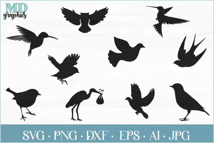 Birds SVG Silhouette Images Vector File for Print