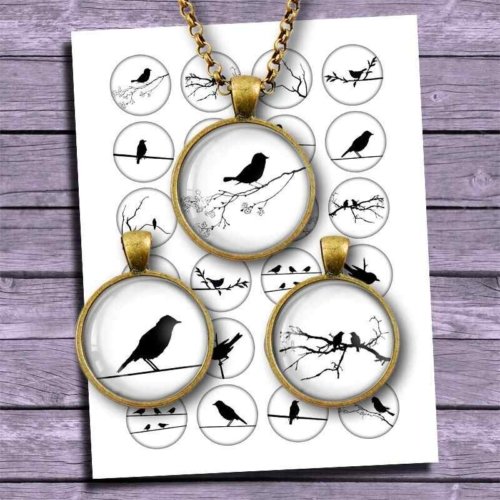 Birds Silhouettes Black and White Circles