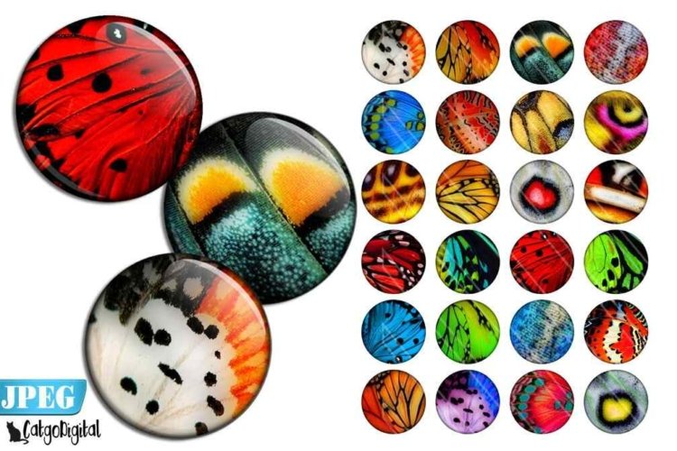 Butterfly Wings Digital Circles