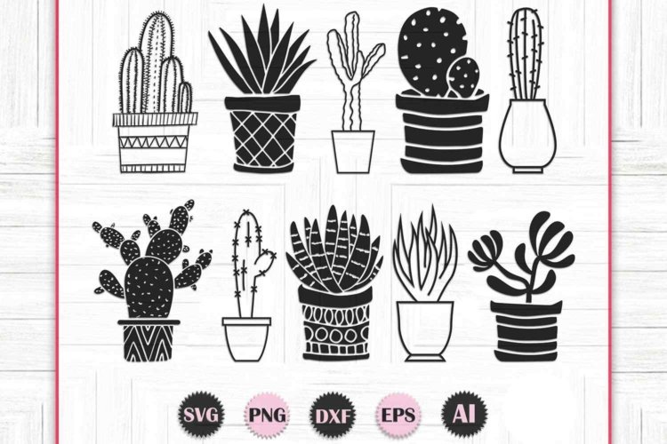 Cactus Plant Clip Art and Vector Files for Print
