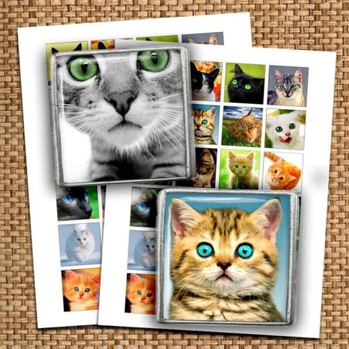 Cats Square Images Digital Collage Sheet