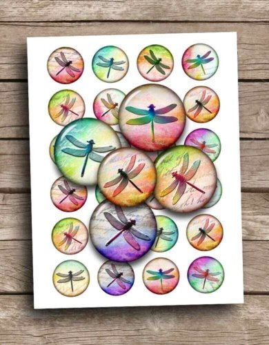 Colorful Dragonfly Printable images Collage Sheet