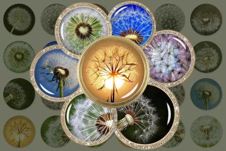Dandelion Digital Collage Sheet Circle Images
