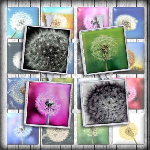 Dandelion Digital Collage Sheet Square Images