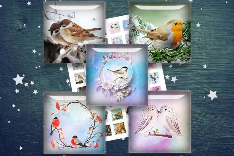 Digital Collage Sheets Birds Printable Cardmaking Squares
