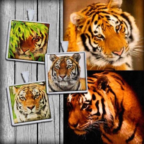 Digital Collage Sheets Tiger Paintings Printable Squares
