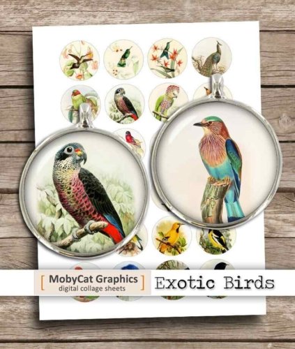 Exotic Birds Digital Collage Sheet