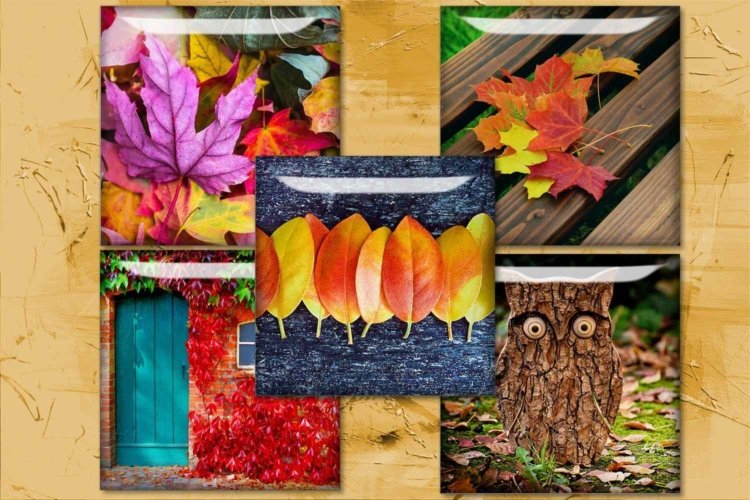 Fall Leaves Digital Collage Sheet Autumn Squares