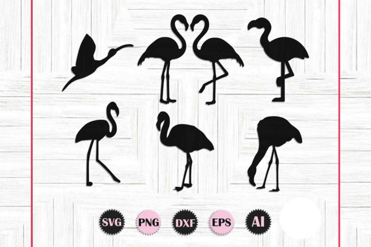 Flamingos SVG For Cricut Bundle Silhouettes