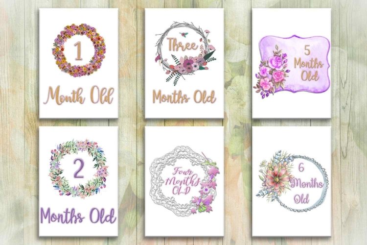 Milestone Signs Baby Girl Months Cards for Printable