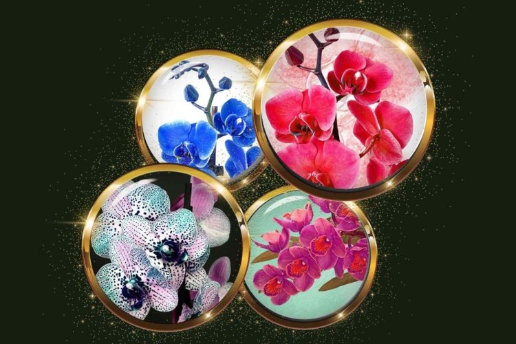 Orchids Digital Collage Sheet Flowers Digital Collage Sheet