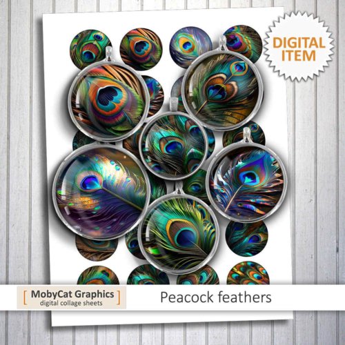 Peacock Feathers Planner Stickers Digital Collage