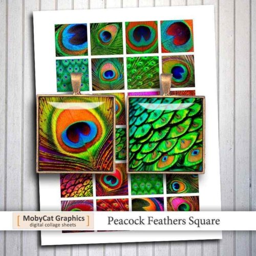 Peacock Feathers Square Images Printable Download