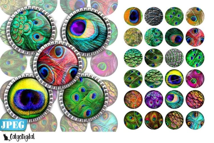 Peacock printable circle images