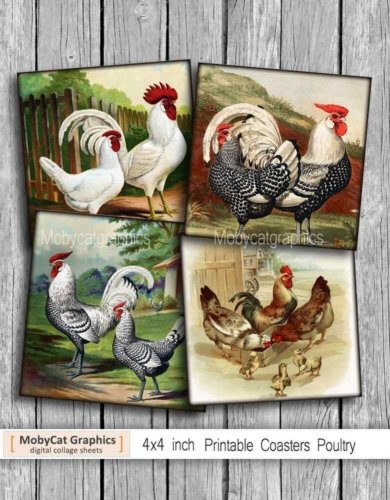 Poultry Coasters Roosters Printable Digital Collage Sheet