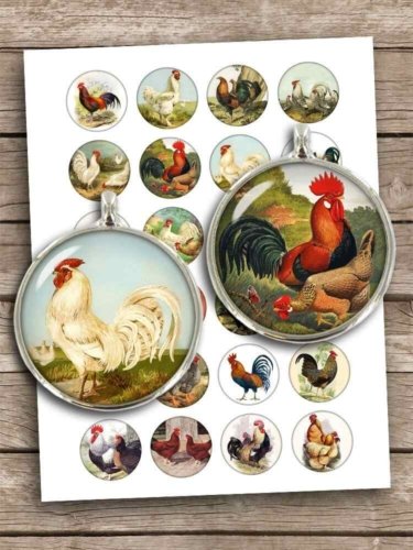Poultry Hens and Roosters Circles Digital Collage Sheet