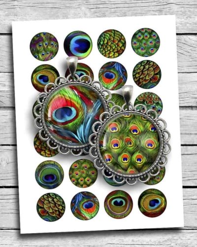 Printable Peacock Feathers Digital Collage Sheet