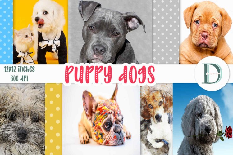Puppy Dog Print Puppy Scrapbook Papers Puppy Cards