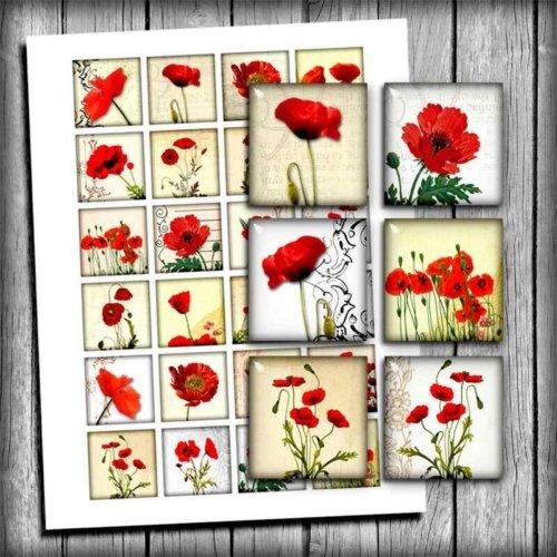 Red Poppies Square Printable Images