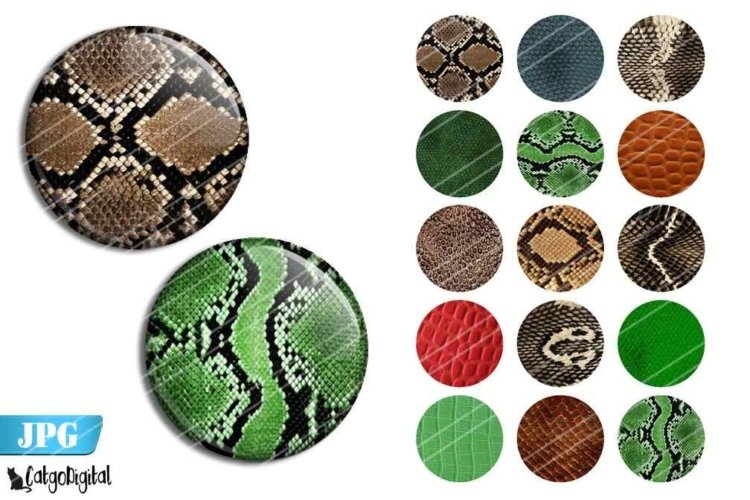 Reptile Skin Pattern Bottle cap images Digital Collage sheet