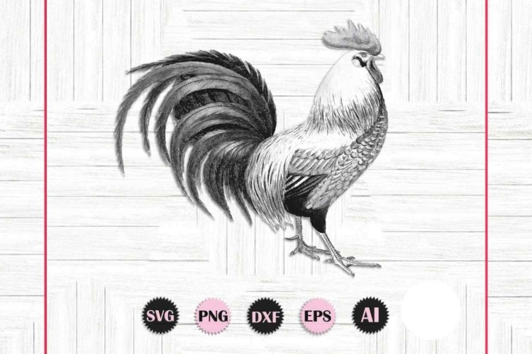 Rooster SVG Crowing Farm Clipart Printable Image