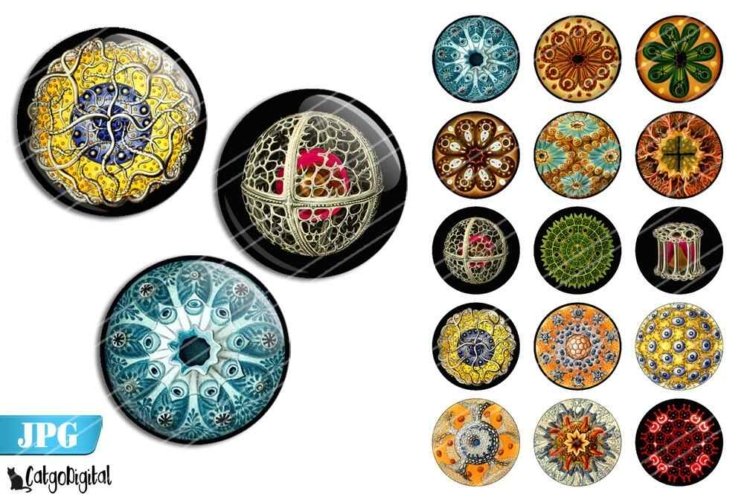 Science Bottle cap images Digital Collage sheet Haeckel