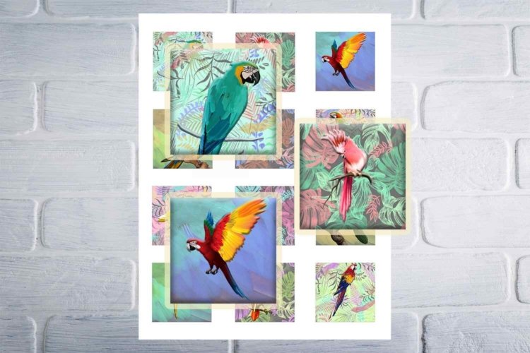 Tropical Parrots Digital Collage Sheet Birds Squares