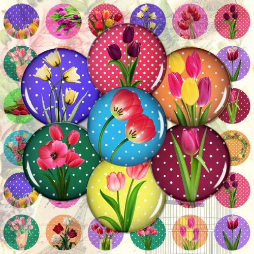 Tulips Digital Collage Sheet Colorful Tulips Flower Circles