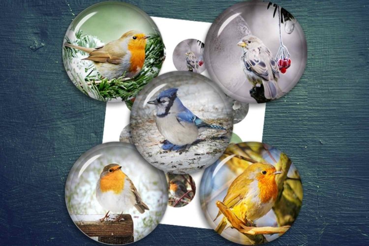 Vintage Birds Digital Collage Sheet Printable Circle Images
