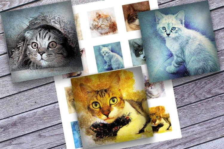 Vintage Cats Printable images Square Images Downloadable