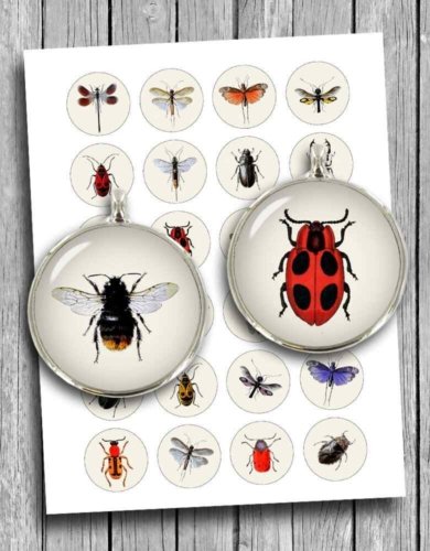 Vintage Insects and Bugs Printable images