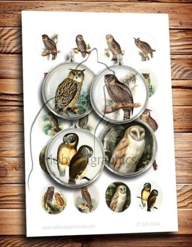 Vintage Owl Prints Circle Images