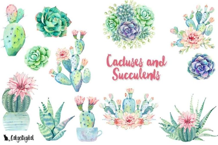 Watercolor Cactuses and Succulents Clipart