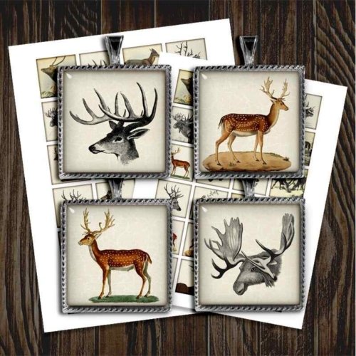 Woodland Digital Collage Sheet printable Square Images