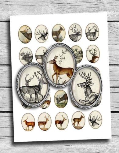 Woodland animals Oval Printable Images