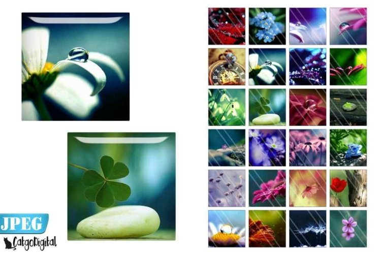 Zen Garden Square Digital printable images